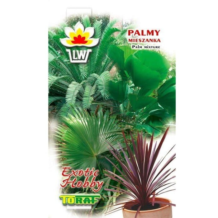 Palmy MIESZANKA  5 nasion.jpeg