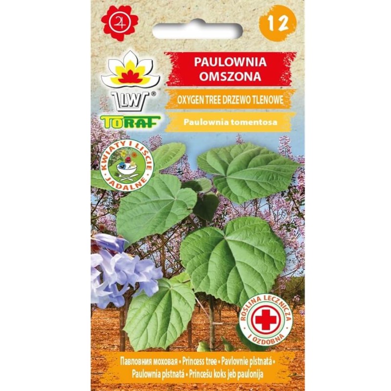 Paulownia Cesarskie Drzewko Szczęścia (Paulownia tomentosa) nasiona 0,1g (2).jpg