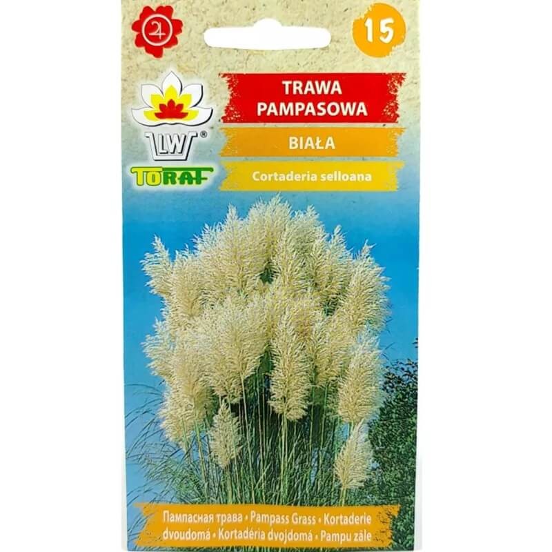 Trawa pampasowa biała (Cortaderia selloana) 0,1g  (1).jpg