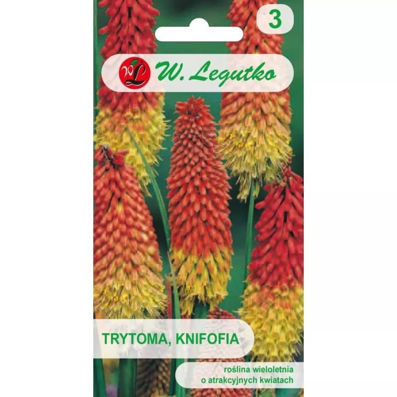 Trytoma Płonąca Pochodnia (Kniphofia uvaria) nasiona 0,2g (3).jpg