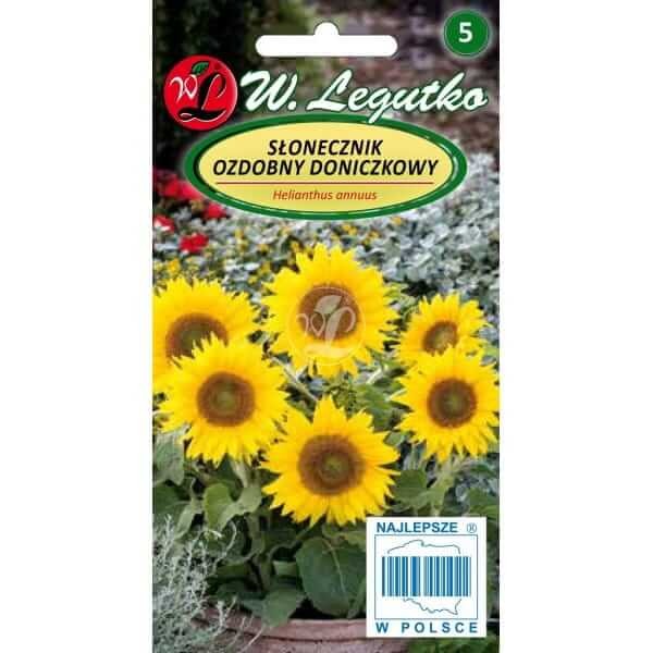 Słonecznik Doniczkowy  (Helianthus annuus) nasiona 1g (1).jpg