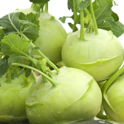 Kalarepa DELIKATESS WEISSER nasiona XL 50g