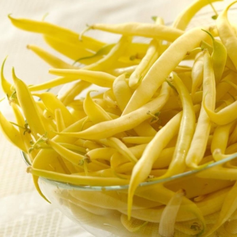 Fasola szparagowa mamut goldmaire tyczna nasiona (1).jpg