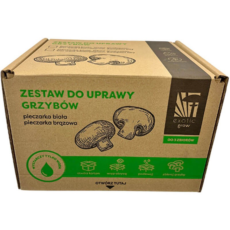 Pieczarka gotowy set do uprawy.jpeg
