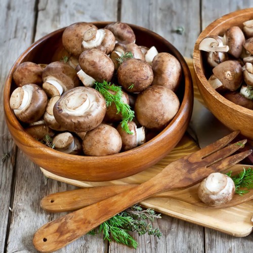 Pieczarka brązowa 3L grzybnia + minisklarenka