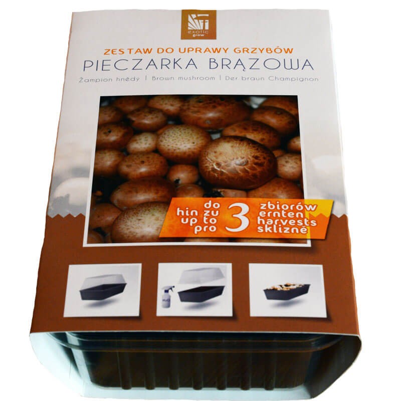Pieczarka brązowa zestaw do uprawy opakowanie 3L.jpeg