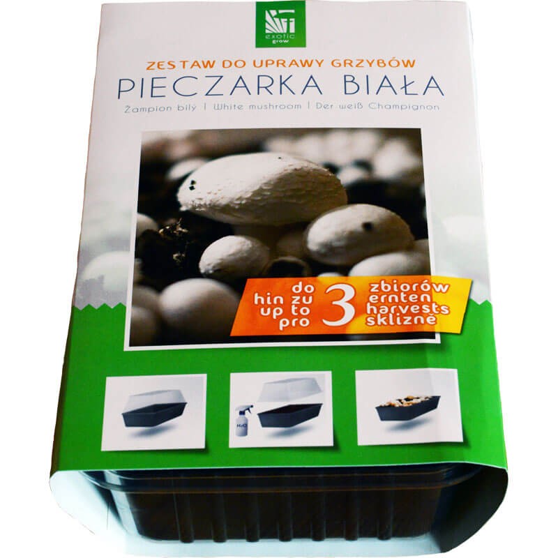 pieczarka biała szklarenka i grzybnia opakowanie.jpeg