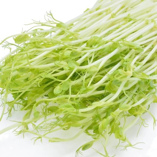 BIO Groch - nasiona na kiełki ekologiczne 40g