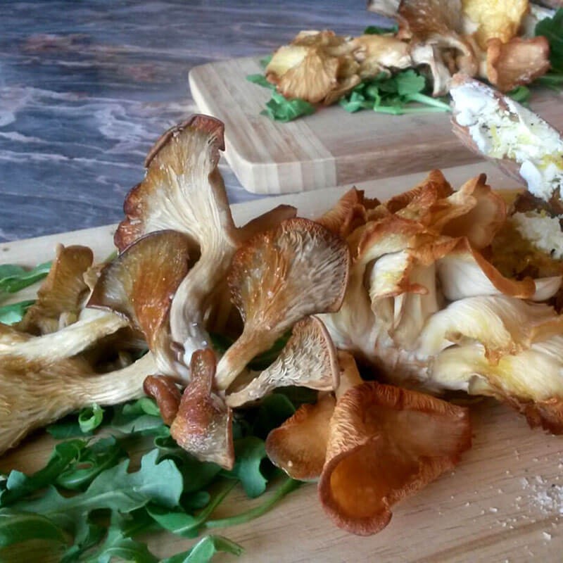 Boczniak ostrygowaty smażenie.jpeg