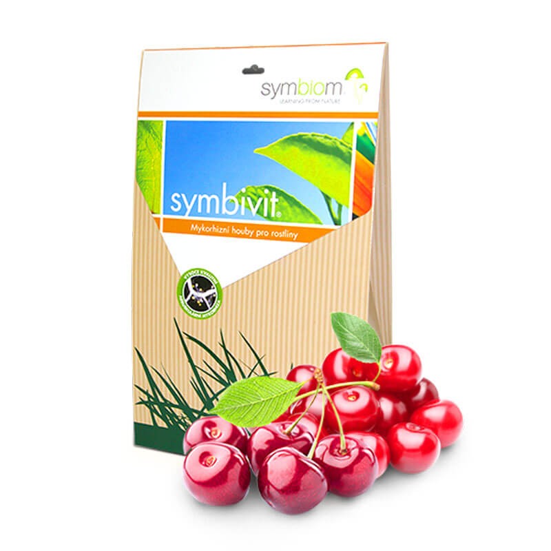 Mikoryza do czerweśni i wiśni.jpeg