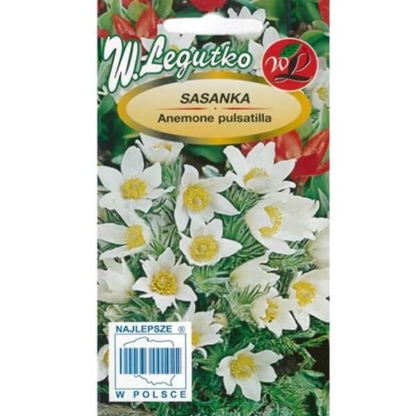 Sasanka zwyczajna Biała (Pulsatilla vulgaris) nasiona nasiona 0,1 g (2).jpg