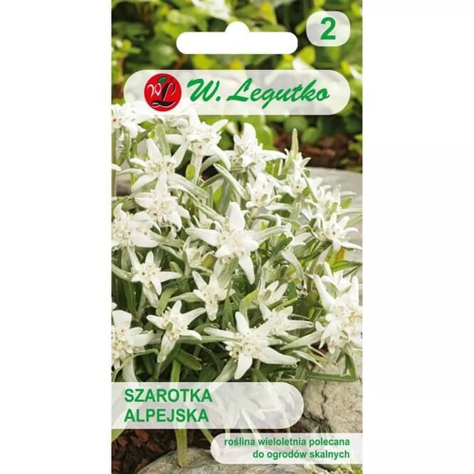 Szarotka alpejska biała (Leontopodium alpinum) nasiona 0,1g (3).jpg