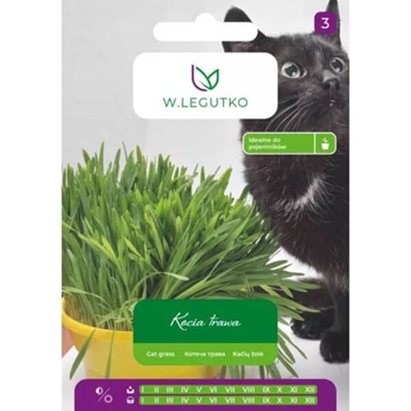 kocia Trawa (Cat Grass) nasiona 25g (1).jpg