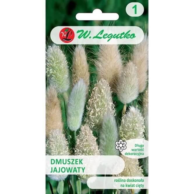 Dmuszek jajowaty (Lagurus ovatus) nasiona 0,2 g (3).jpg