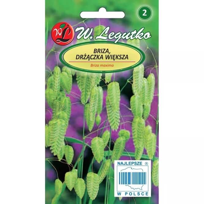 Drżączka olbrzymia słomkowo - żółta (Briza maxima) nasiona 1g (3).jpg