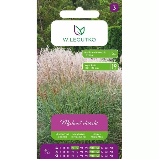 Miskant Chiński (Miscanthus sinensis) nasiona 0,05g (3).jpg