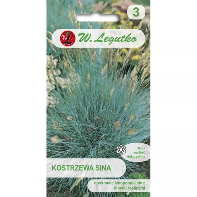 Niebieska Trawa Kostrzewa Sina (Festuca glauca) 200 nasion (1).jpg