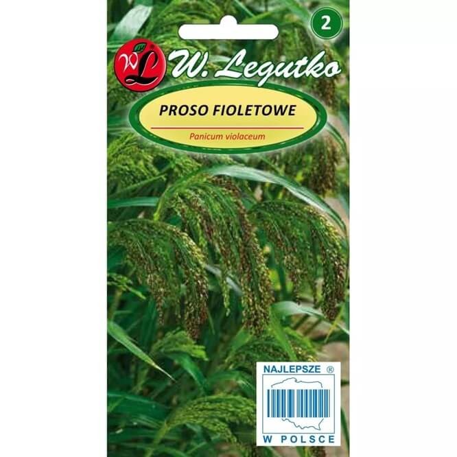 Proso fioletowe (Panicum violaceum) nasiona 3g (2).jpg
