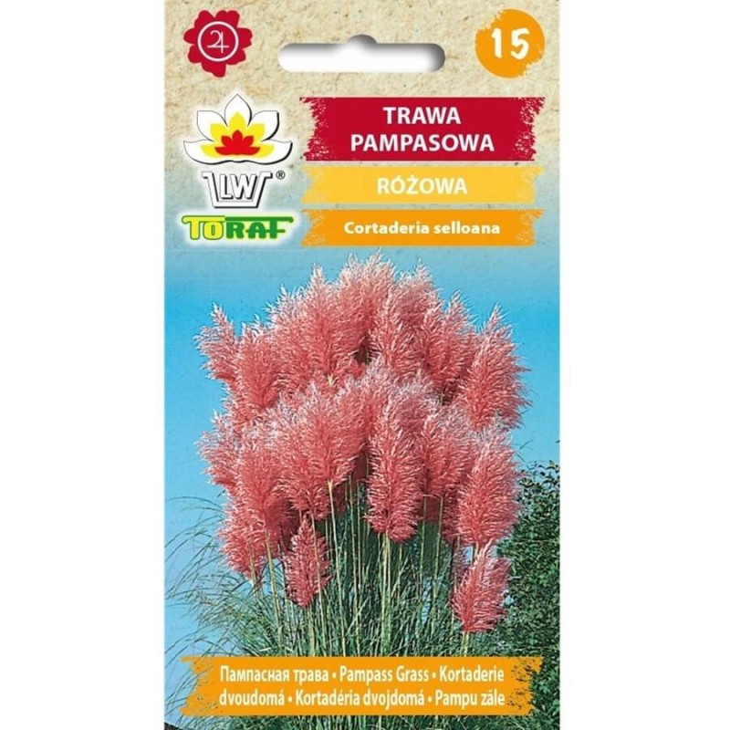 Trawa pampasowa różowa (Cortaderia selloana Rosea) 0,1g (3).jpg