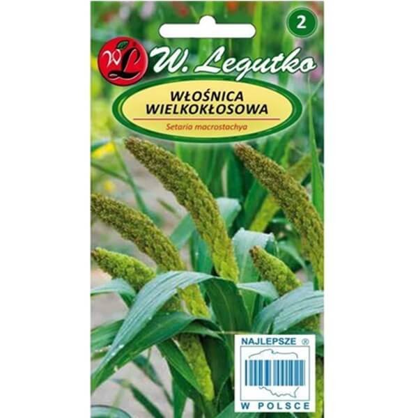 Włośnica wielkokłosowa zielona (Setaria macrostachya) nasiona 2g (1).jpg