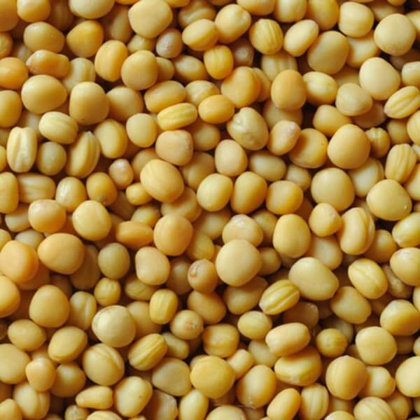 Poplony - Zielony Nawóz Ekologiczny - Gorczyca biała Bardena (1000 g) (1).jpg