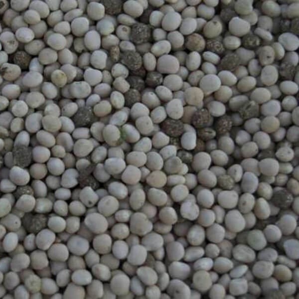 Poplony - Zielony Nawóz Ekologiczny - Łubin wąskolistny słodki (1000 g) (2).jpg