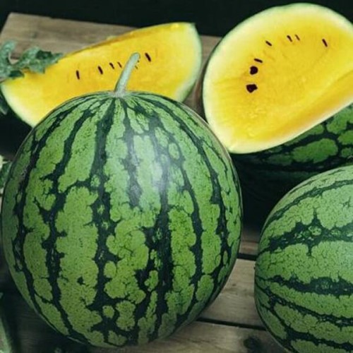 Arbuz Janosik Kawon Żółty nasiona 0,5g+0,25g