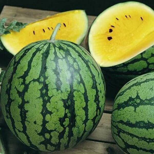 Arbuz Janosik Kawon Żółty (Citrullus vulgaris) nasiona (3).jpg