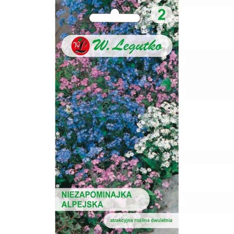 Niezapominajka alpejska mieszanka nasiona 0,5g (2).jpg