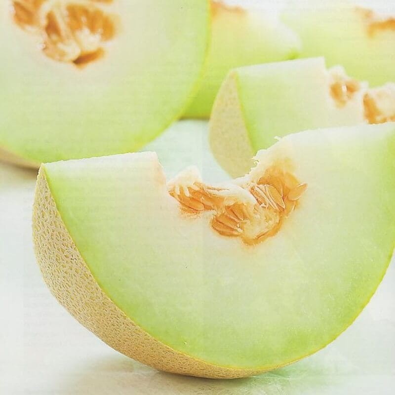 Melon Model (Cucumis melo) nasiona 1g (2)