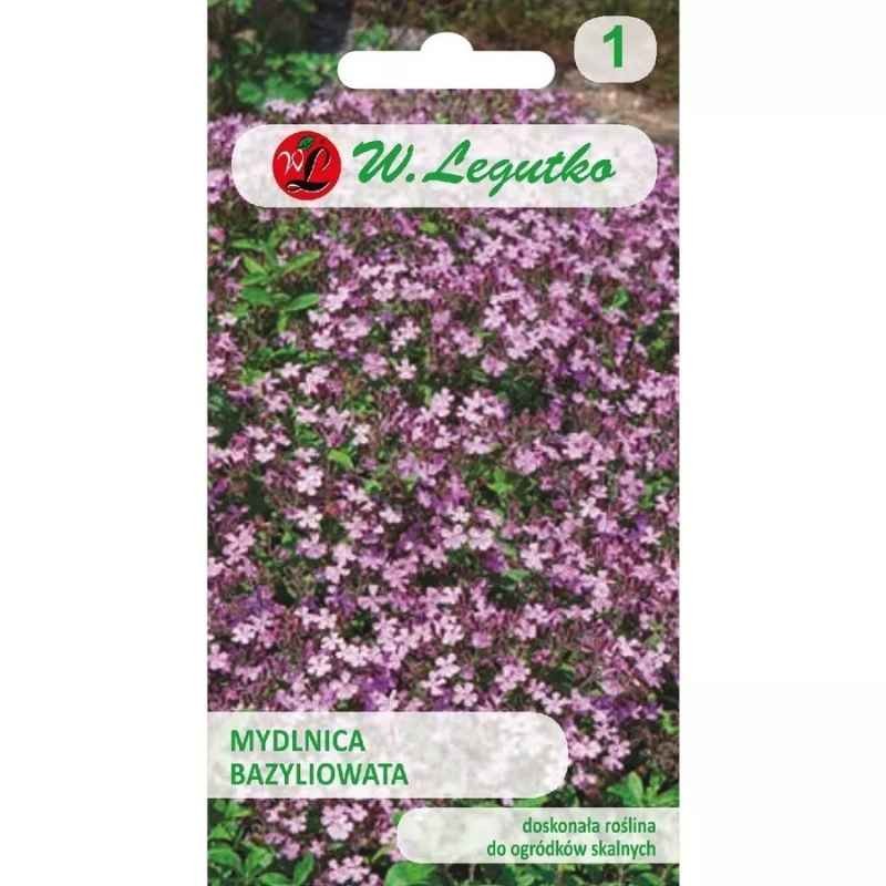 Niezapominajka alpejska różowa nasiona 0,3g (2).jpg