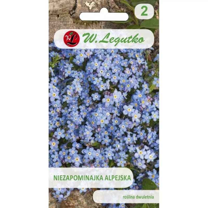 Niezapominajka alpejska niebieska nasiona 0,3g (2).jpg