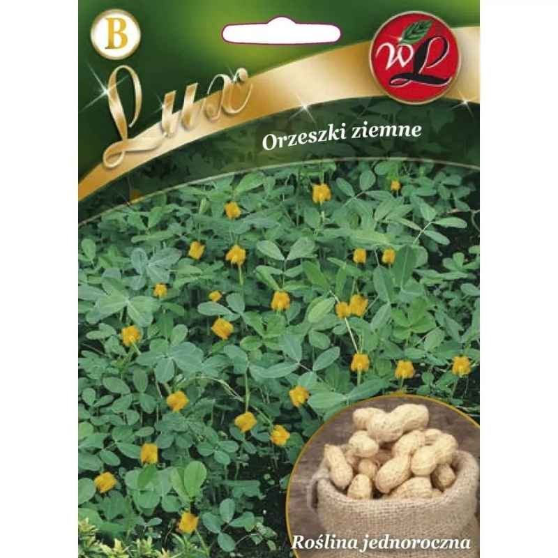 Orzeszki ziemne nasiona 5 szt (2).jpg