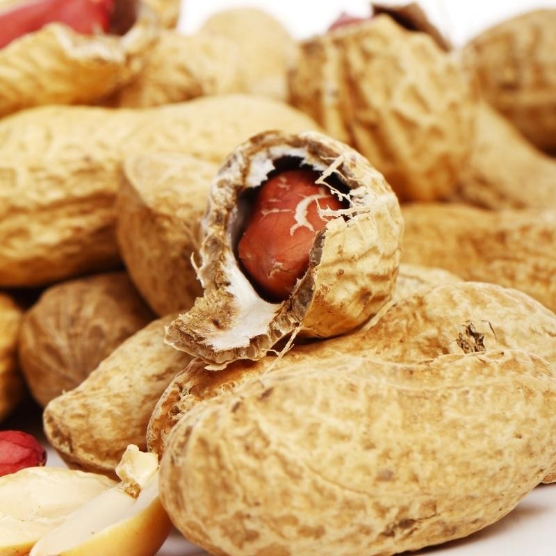 Orzeszki ziemne nasiona 5 szt (3).jpg