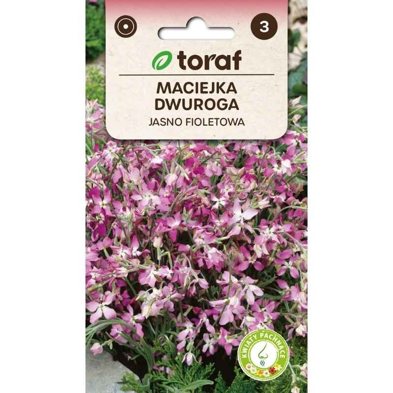 Maciejka dwuroga pachnąca nasiona 3g (2).jpg