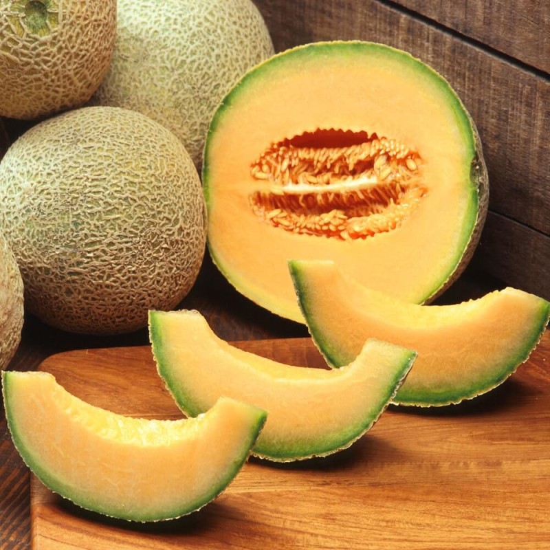 Melon Malaga F1 (Cucumis melo) nasiona 0,5g (1)
