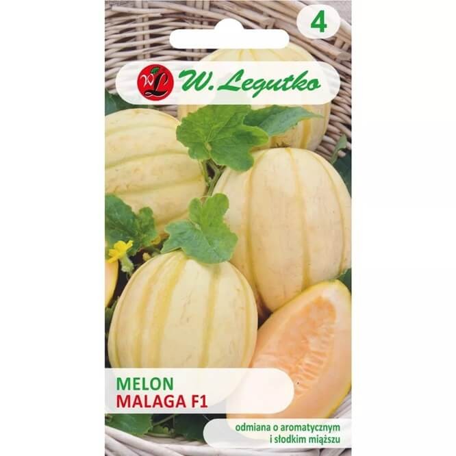 Melon Malaga F1 (Cucumis melo) nasiona 0,5g (2)