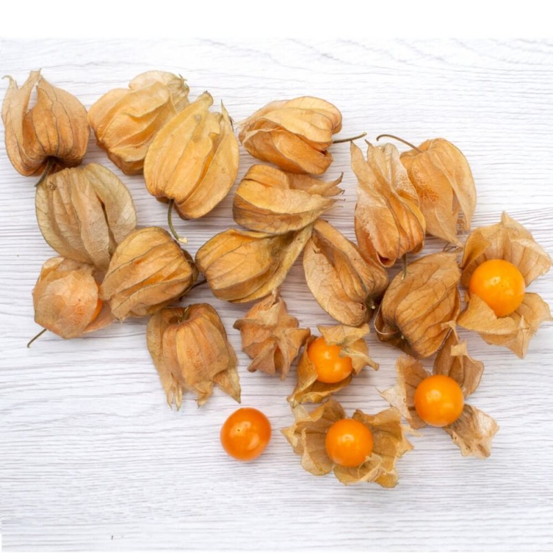 Rodzynek Brazylijski (Physalis peruviana) nasiona 0,2g (3).jpg
