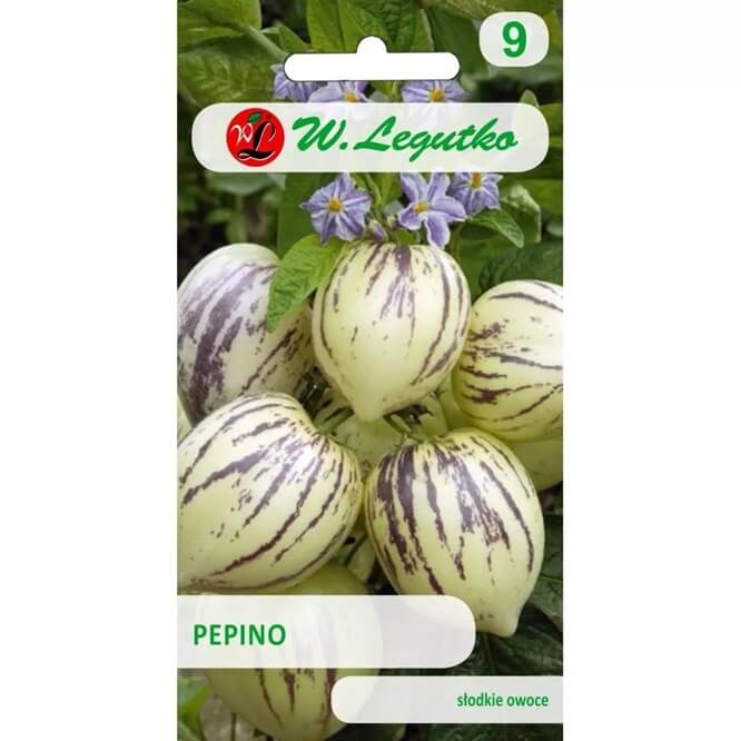 Pepino Melon (Solanum muricatum) nasiona 0,01g (1).jpg