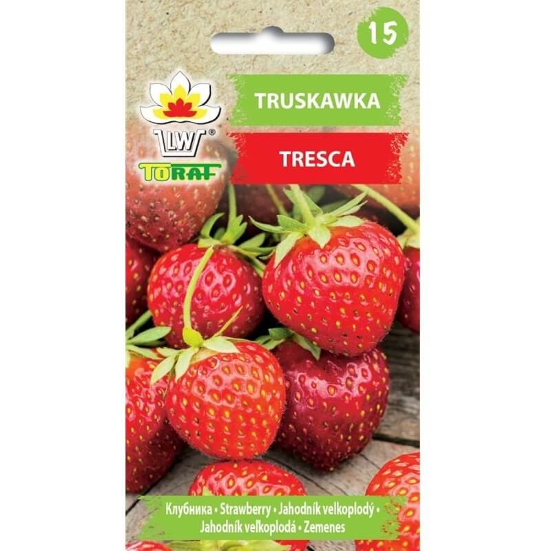 Truskawka Tresca (Fragaria x ananassa) nasiona 20 sztuk (1).jpg