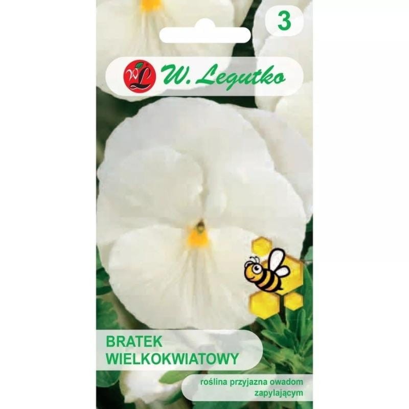 Bratek szwajcarski wielkokwiatowy Firnenschnee Mont Blanc nasiona 0,5g (2).jpg