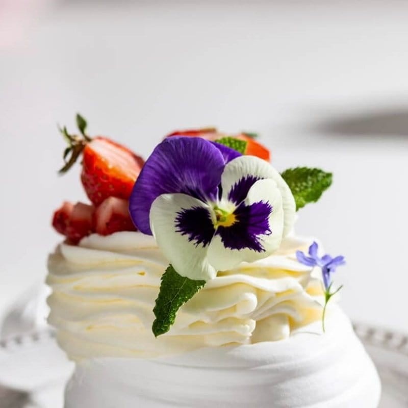 Bratek szwajcarski wielokwiatkowy silberbraut Silverbride nasiona 0,5g (3).jpg