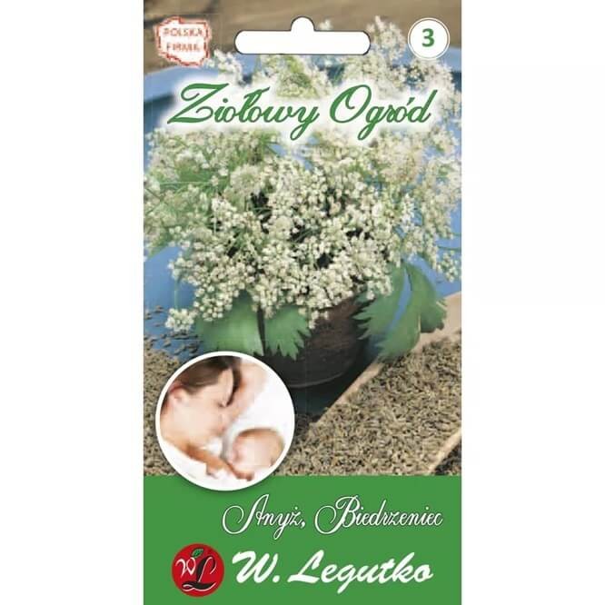 Anyż, Biedrzeniec (Pimpinella anisum) 1g (2).jpg