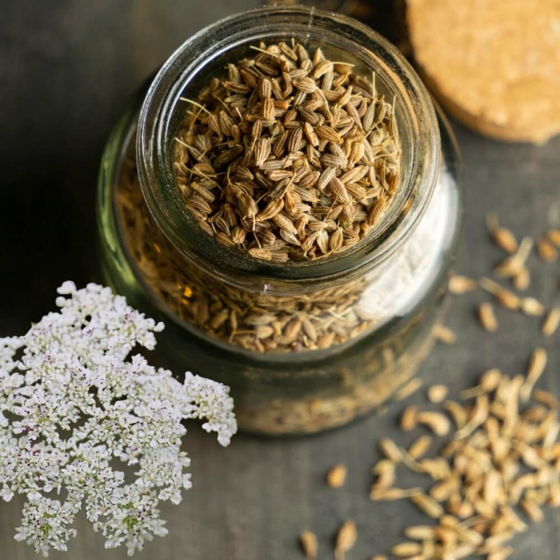 Anyż, Biedrzeniec (Pimpinella anisum) 1g (3).jpg