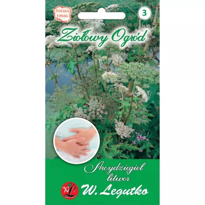 Arcydzięgiel litwor (Angelica archangelica) nasiona 0,5g (3).jpg