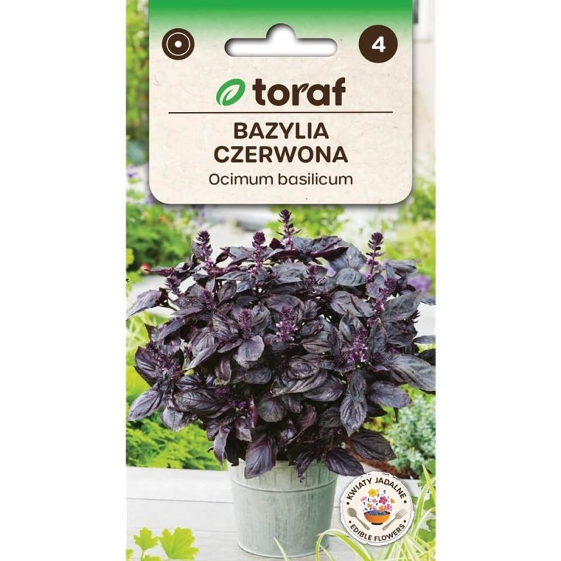 Bazylia czerwonolistna (Ocimum basilicum) 0,5g  (2).jpg