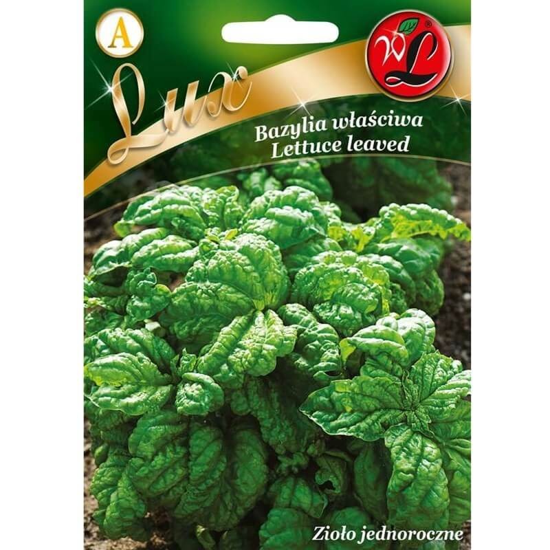 Bazylia właściwa 'Lettuce leaved' (Ocimum basilicum) 1g LUX (1).jpeg