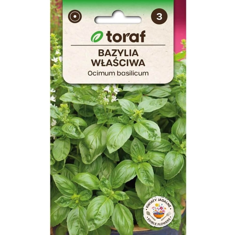 Bazylia właściwa zielonolistna (Ocimum basilicum) 1g.jpg