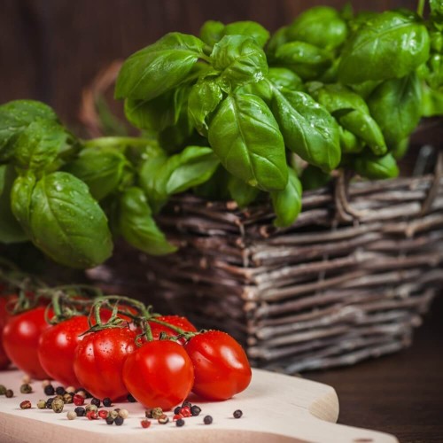 Bazylia właściwa zielonolistna 1g