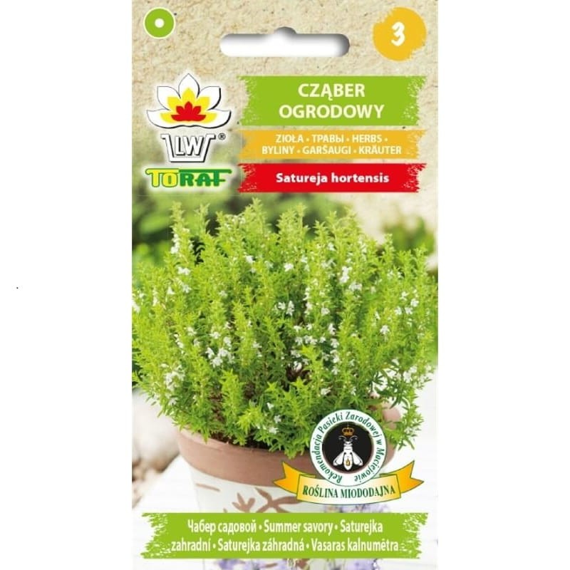 Cząber ogrodowy (Satureja hortensis) nasiona 2g (3).jpg